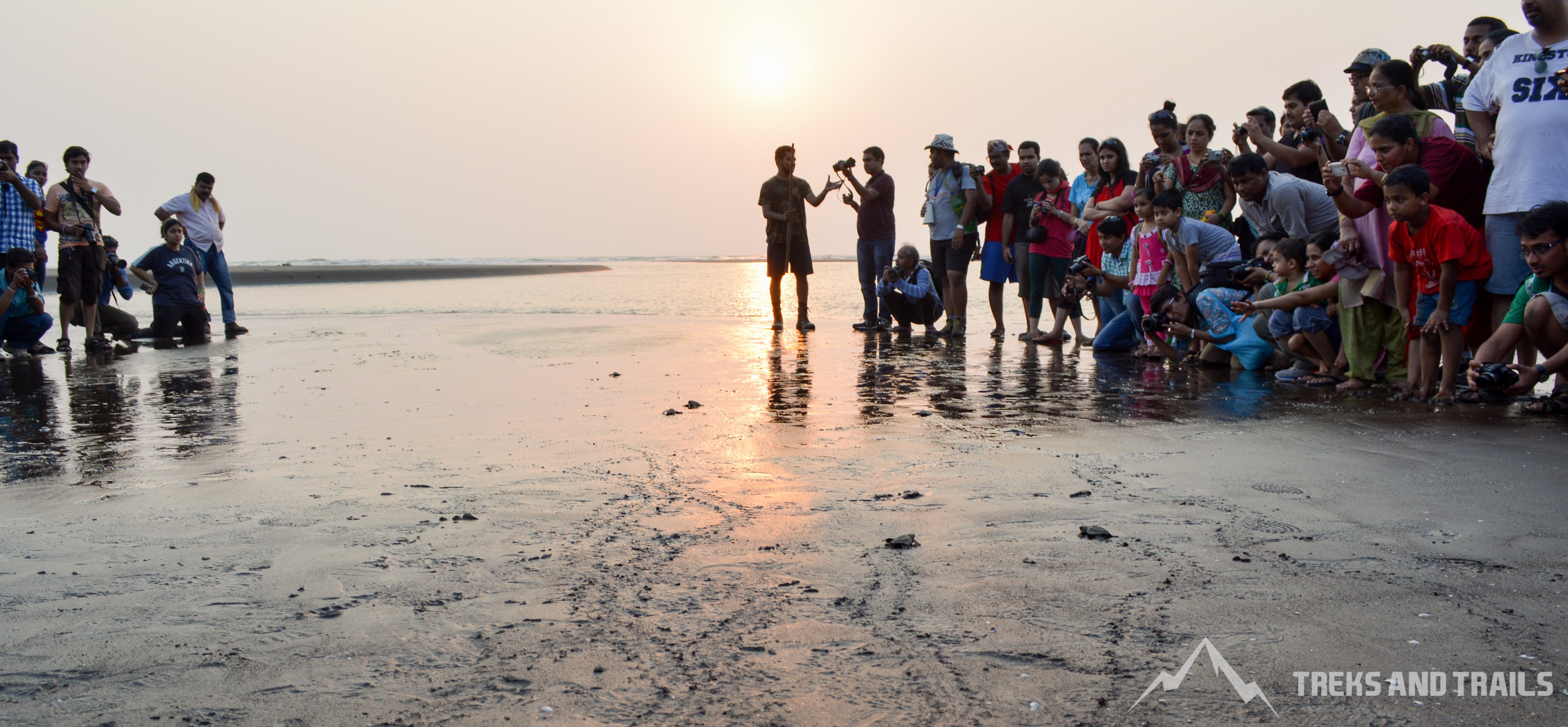 Velas Turtle Festival 2024 from Pune